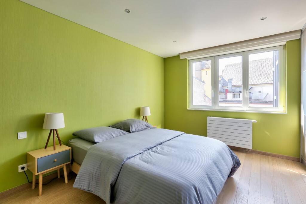 Appartement Spacieux Au Coeur De 斯特拉斯堡 外观 照片